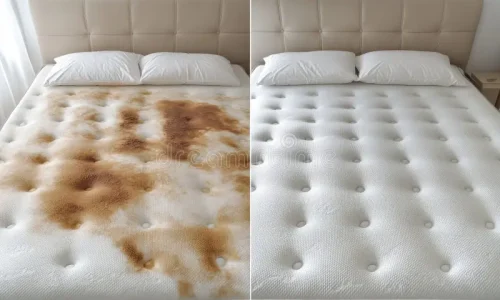 mattress-cleaning-showing-effectiveness-professional-cleaning-services-mattress-cleaning-374498974